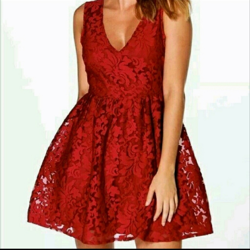 Boohoo organza lace skater dress